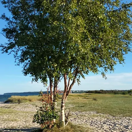 Apartment Turkusowe Laki 4c-2 *
